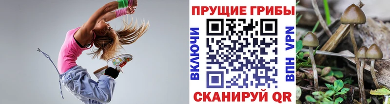 Галлюциногенные грибы GOLDEN TEACHER  Можга 